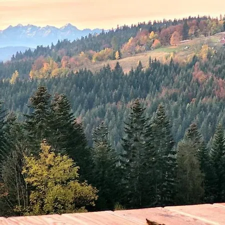 Chata Na Wysokosci Zalesie (Limanowa)